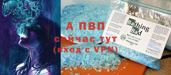 дживик Белокуриха