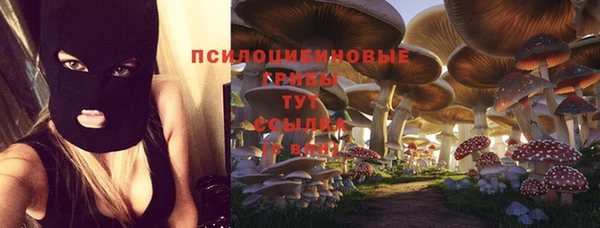бутират Беломорск