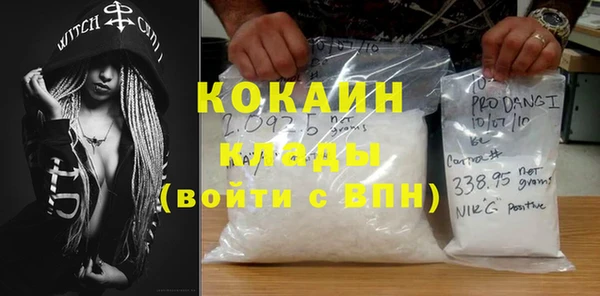 дживик Белокуриха